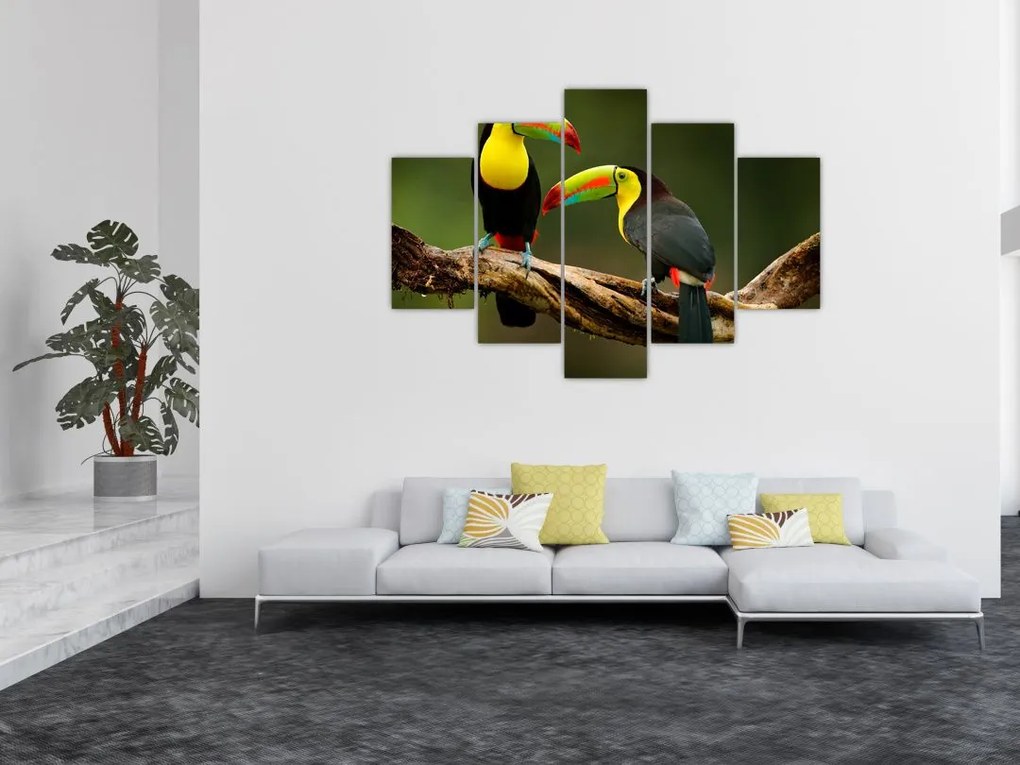 Ülő tukánok képe, Costa Rica (150x105 cm)