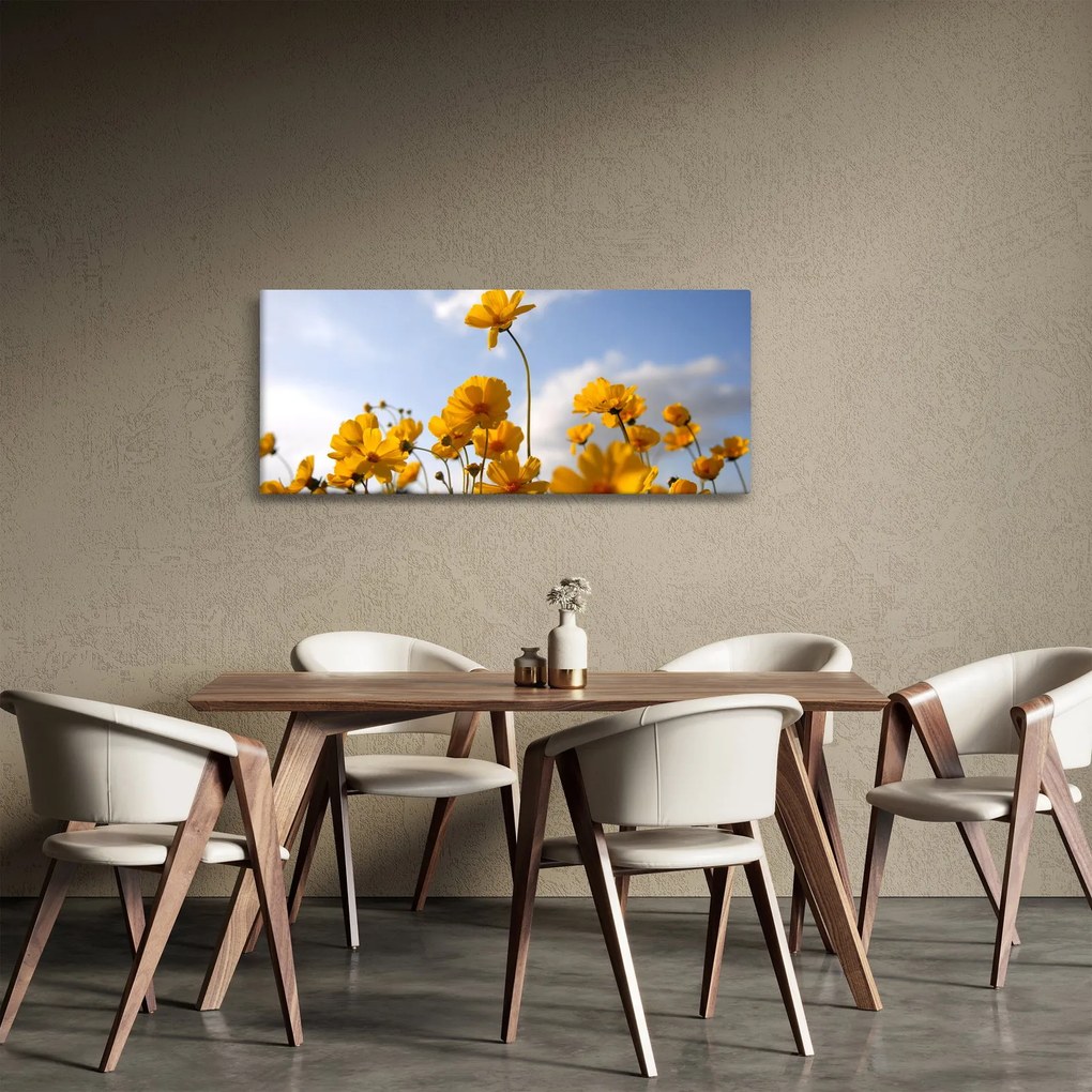 Fényes sárga virágokkal rendelkező mező képe (120x50 cm)