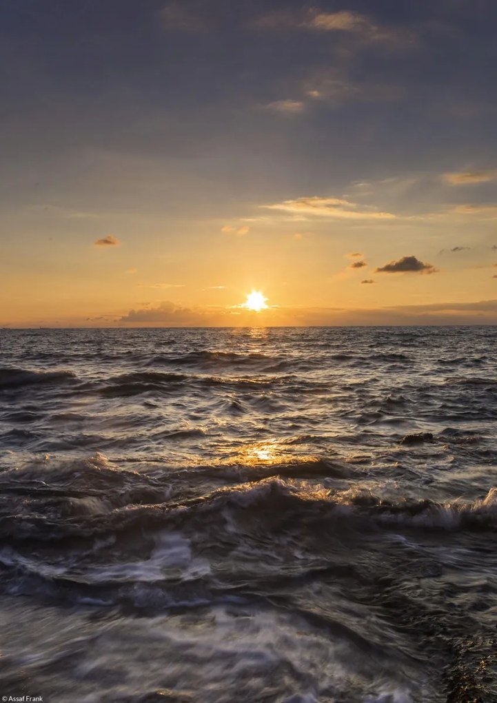 Poszter 21x29,7cm Naplemente a tengeren, Assaf Frank