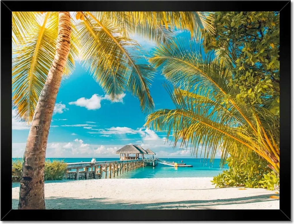 Poszterek keretben 40x30 Trópusok Tájkép Pálma