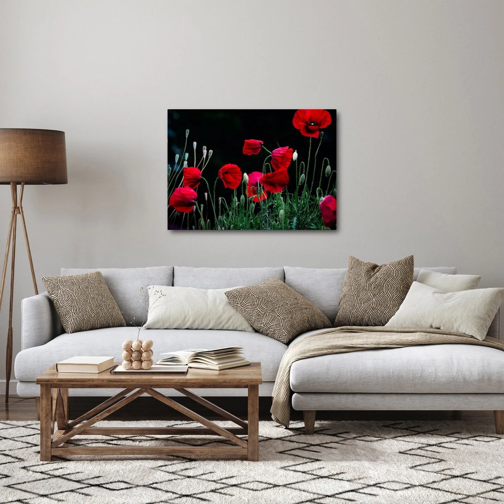 Kép - Pipacsok tánca (70x50 cm)