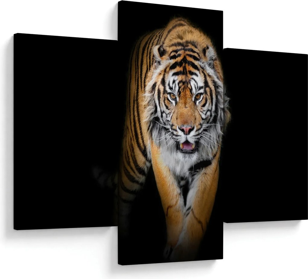 Kép - Tigris (90x60 cm)