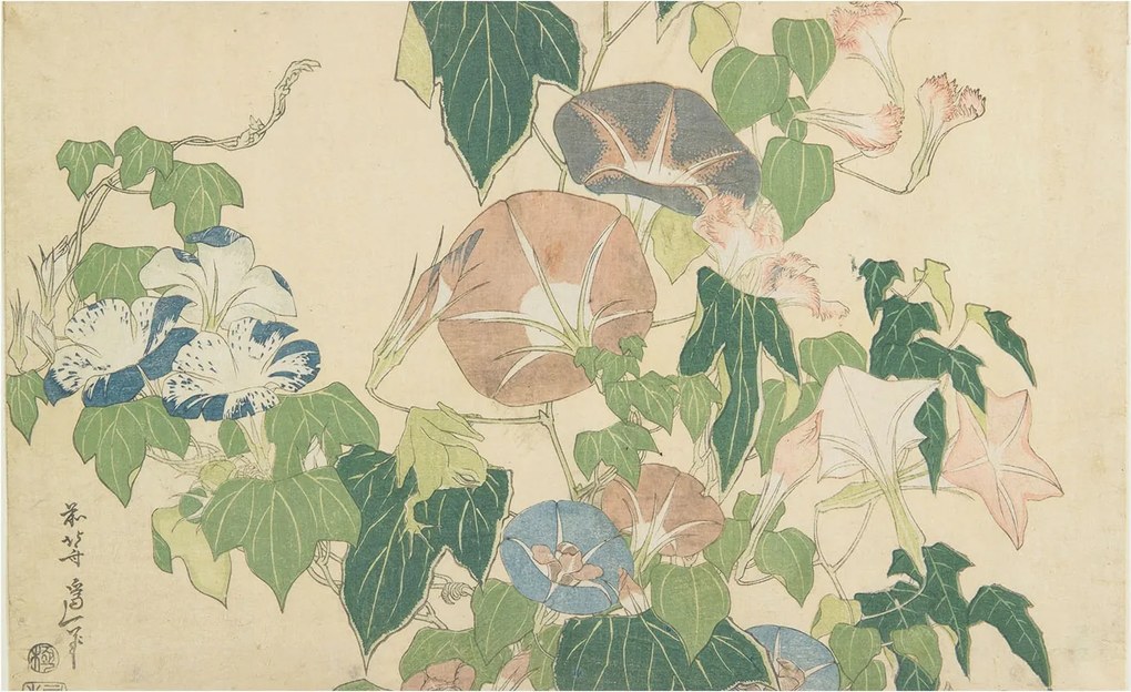 Modern fotótapéta Flizelina falra Virágos elegancia 416x254 Ragasztó