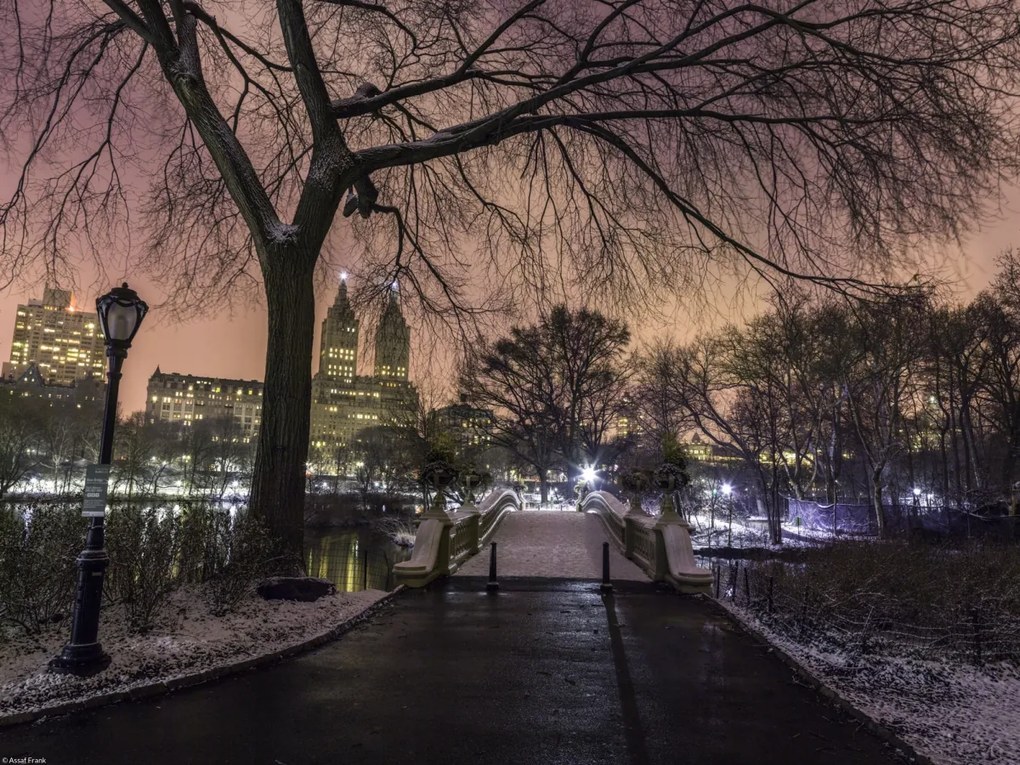 Poszter 40x30cm Esti kilátás a Central Parkra, Assaf Frank