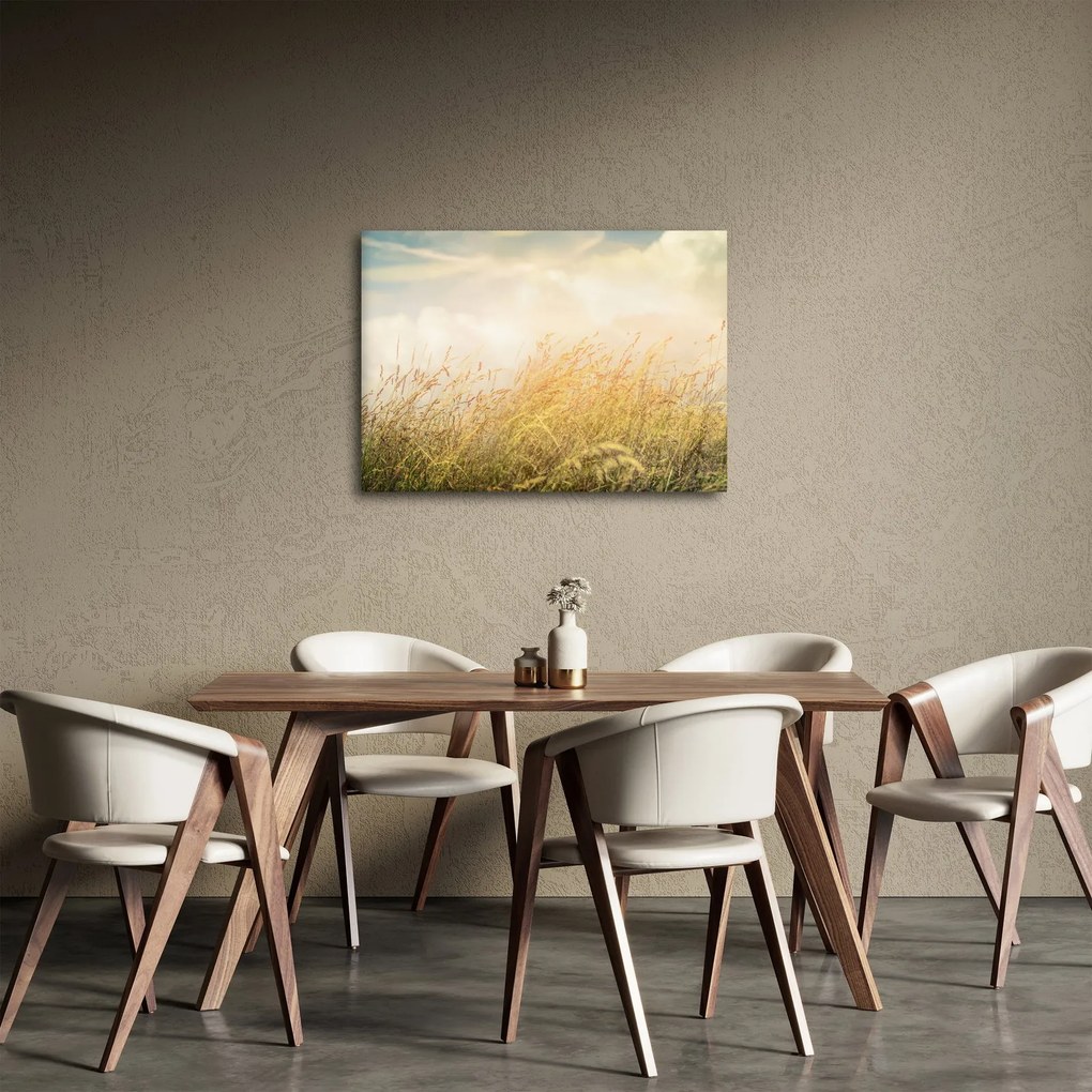 Kép - Mező ősszel (70x50 cm)