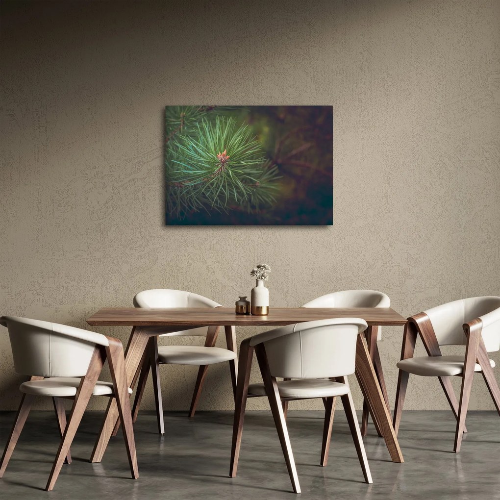 Kép - Fenyőfa részlete (70x50 cm)