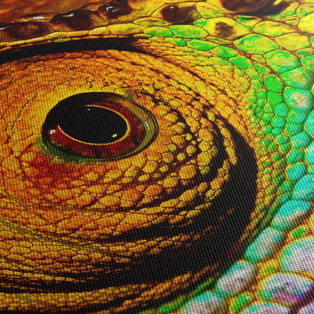 Kép - Kaméleon (90x60 cm)