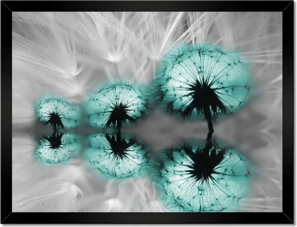 Poszterek keretben 40x30 Türkiz pitypang virág