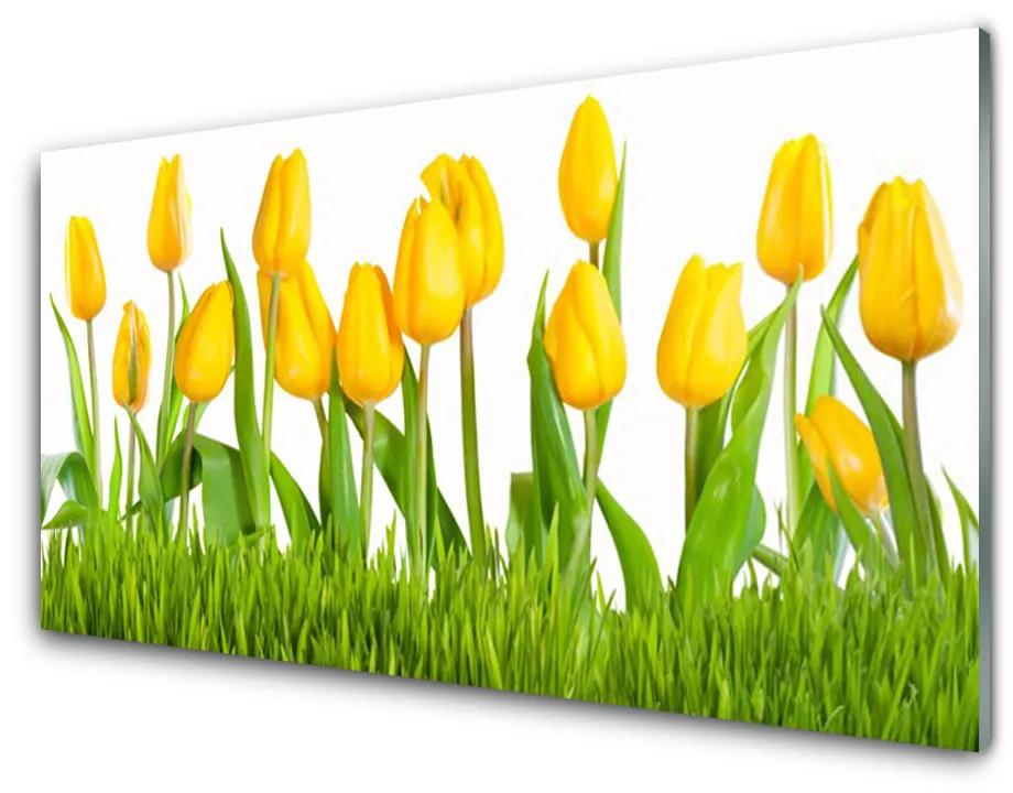 Fali üvegkép Tulipánok Fal 140x70 cm