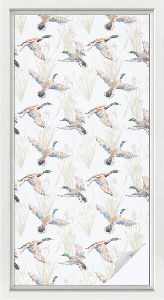 Tejfólia Ablakra Szélvédőre Öntapadós Privátizáló Madarak Természet 50x100