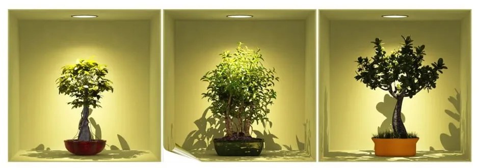 Bonsai Trees On Spot 3 db-os 3D hatású falmatrica szett - Ambiance