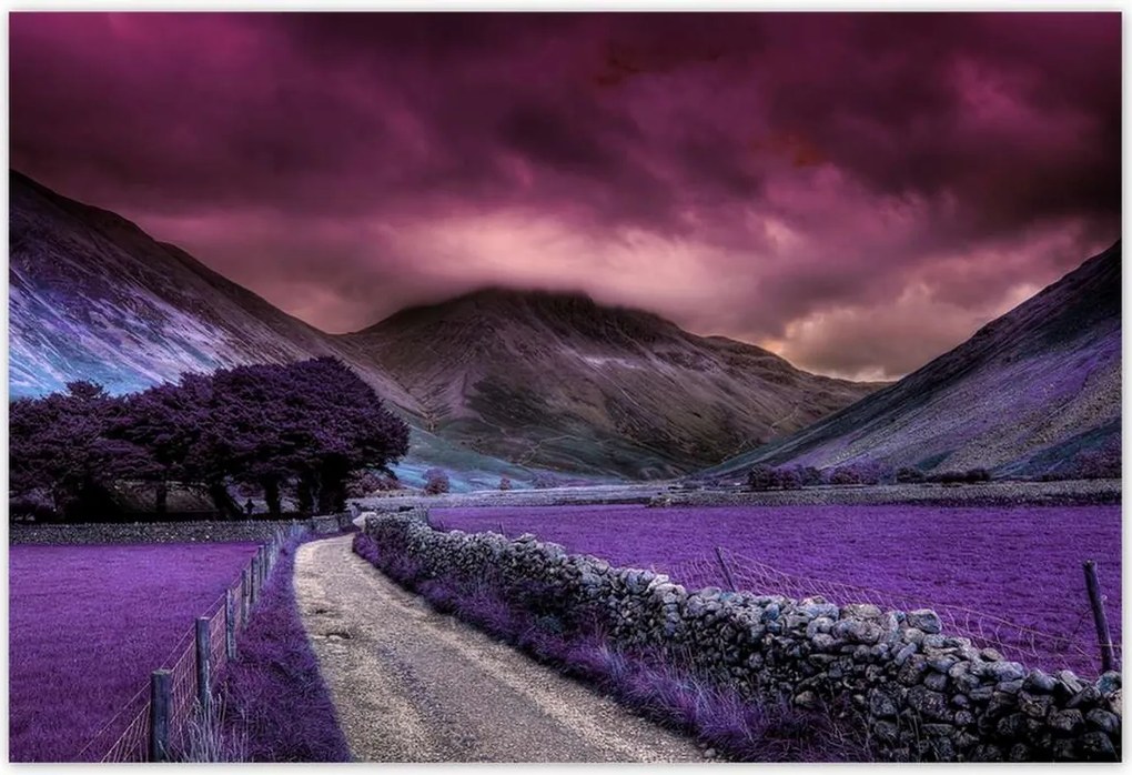 Poszterek 200x135 Lila tájkép