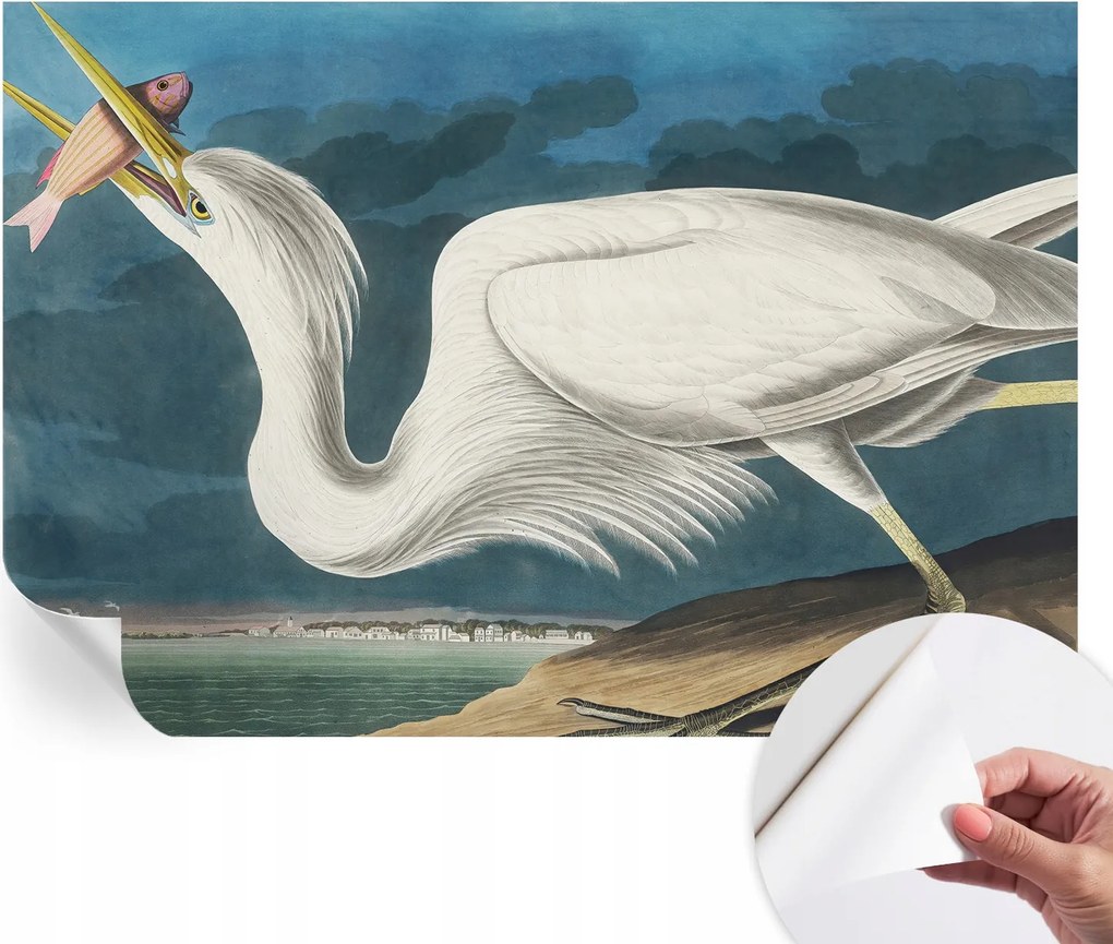 Öntapadós fotótapéta Nappaliba és Hálószobába Madár és hal 152x104 cm