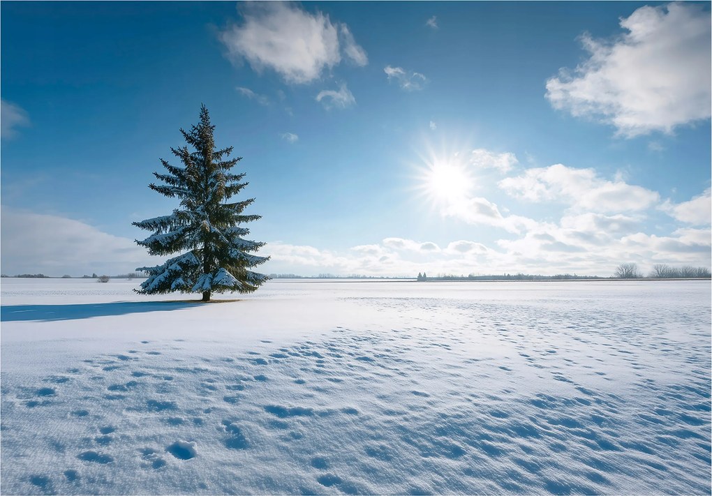 Fotótapéta Mező Tájkép Természet Hálószoba Nappali Tapéta Flizelina 400x280