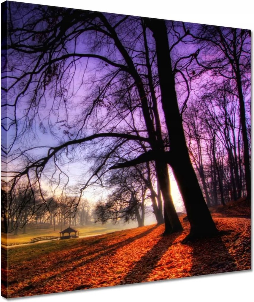 Vászonkép 40x40 Bajusz park