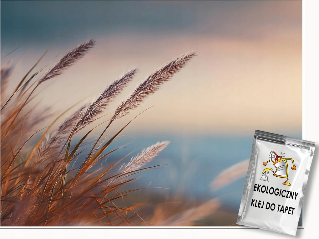 Fotótapéta Fű Természet Bézs Hálószoba Nappali Tapéta Flizelina 350x250