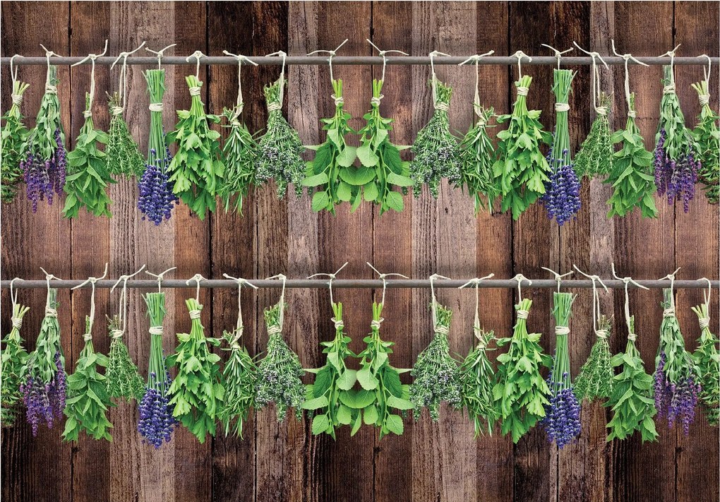 Fotótapéta Gyógynövények Levendula Rozmaring Zsálya Menta Fa 300x210 +ragasztó