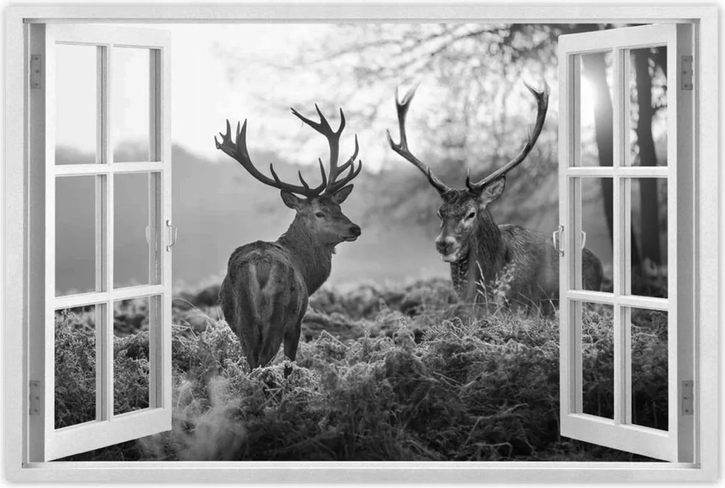 Poszter 90x60 Fekete-fehér szarvasok