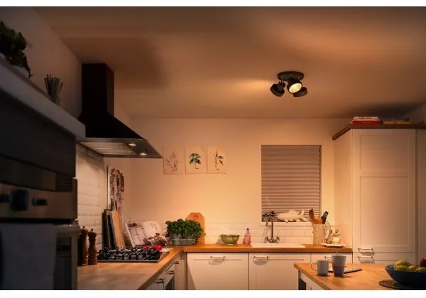 Philips 50603/30/P0 - LED Dimmelhető spotlámpa BUKKO 3xLED/4,3W/230V