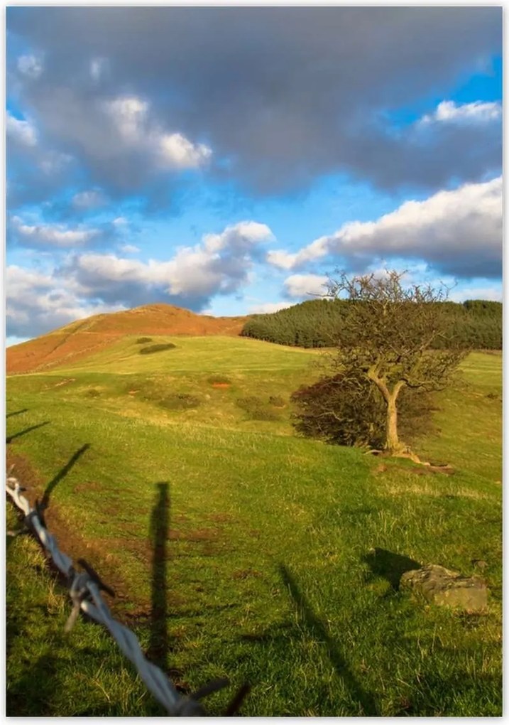 Poszterek 70x100 Tájkép réttel