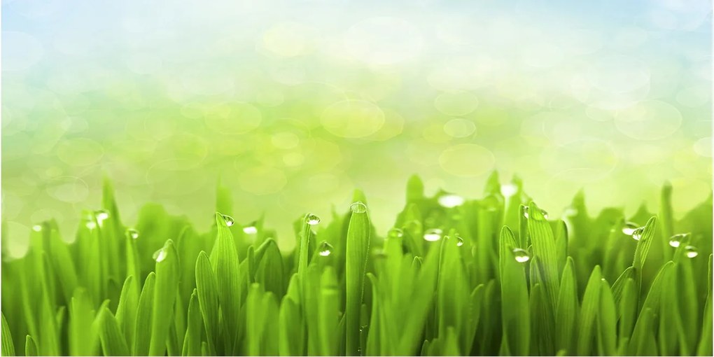 Üvegpanel konyhába Fű 140x70 cm Ragasztó