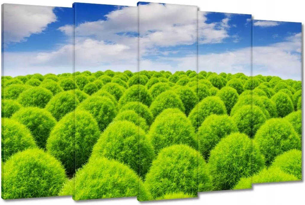 Festmények 150x95 Zöld tekintet Völgy