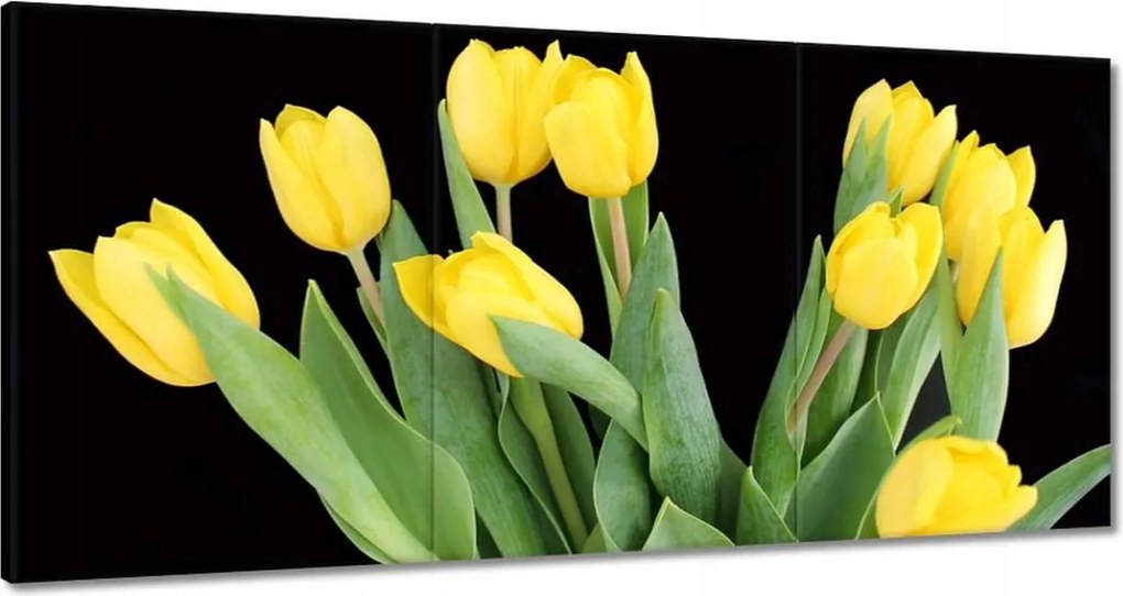 Vászonkép 180x90 Sárga tulipánok