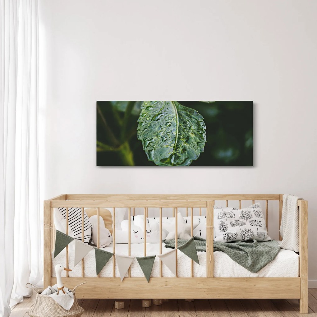 Kép - cseppek a levelen (120x50 cm)