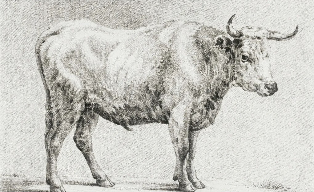 Fotótapéta Flizelina Nappali és Hálószoba Bika ceruza 416x254 Ragasztó