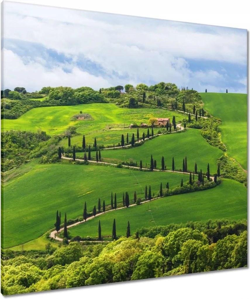 Vászonkép 90x90 Út a mezőkön át Toszkánában