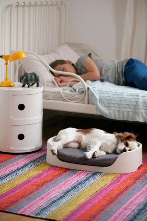 Curver Bunkbed 3 az 1-ben fekhely cappuccino/kék