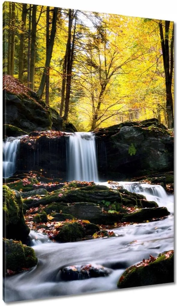 Vászonkép 80x120 Őszi vízesés