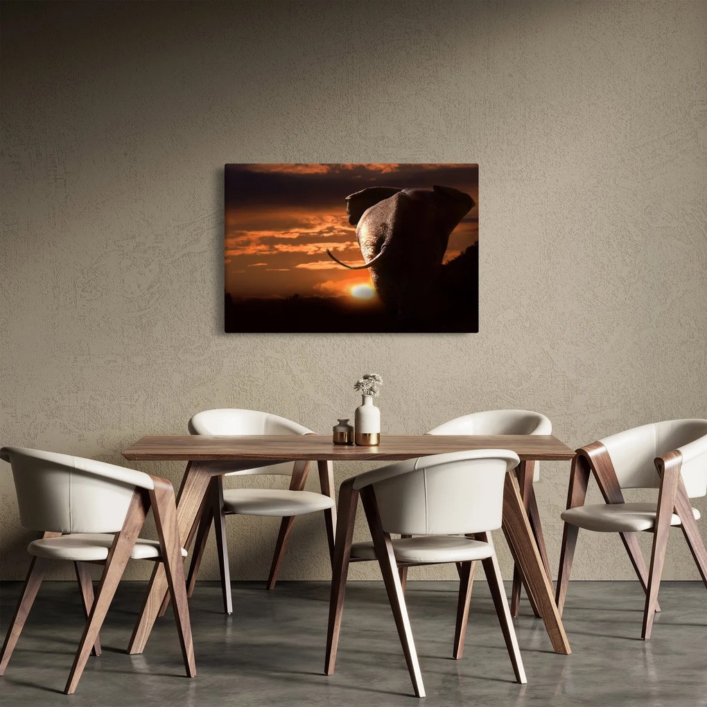 Elefánt képe (90x60 cm)