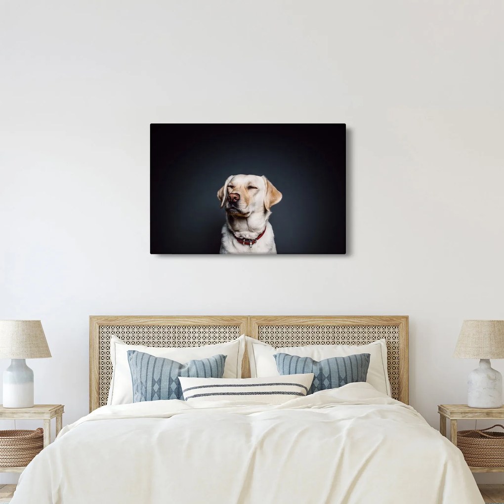Labrador képe (90x60 cm)