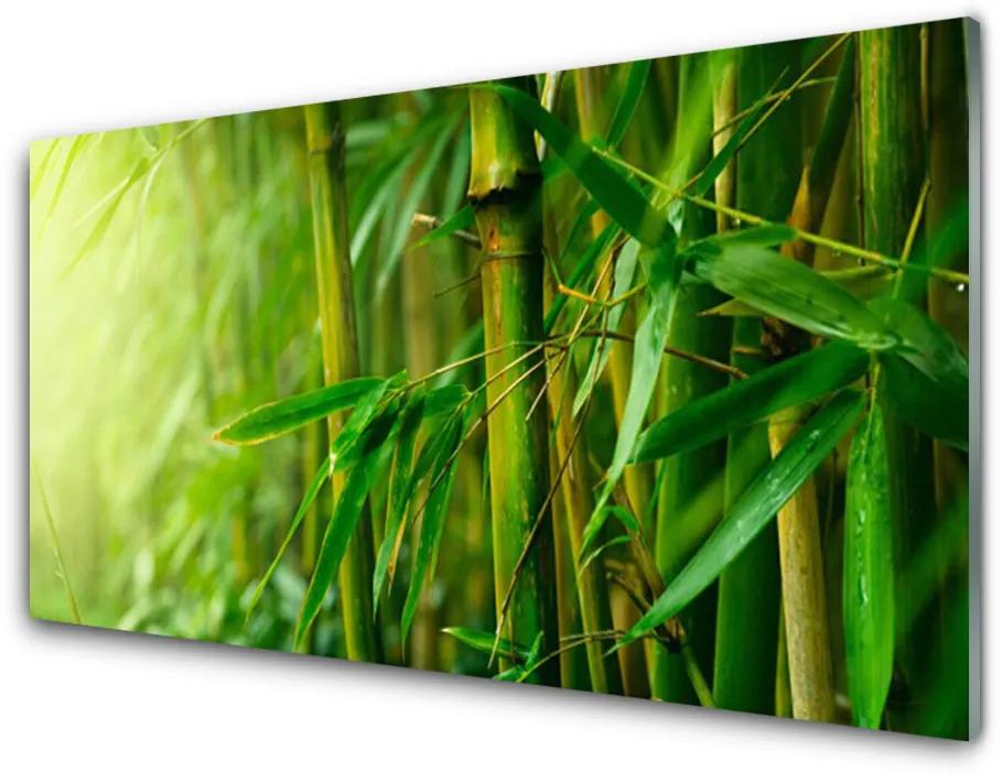 Konyhai panel Bambusz szárak plant 125x50 cm