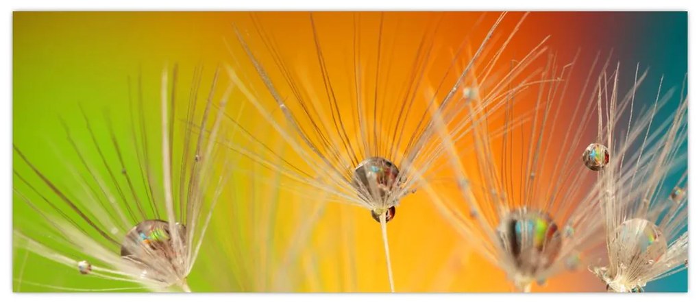 Cseppek a növényen képe (120x50 cm)