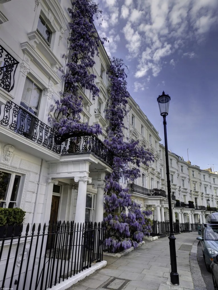 Poszter 30x40cm Ház a Portobello úton, Assaf Frank