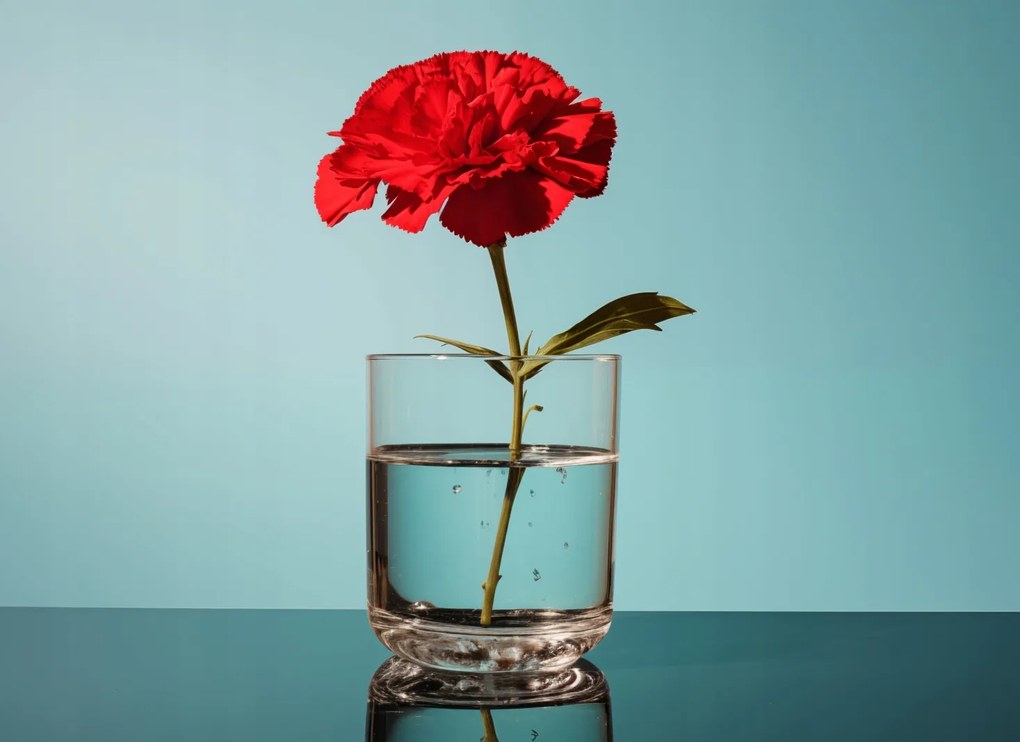 Poszter 55x40cm Virág üvegben