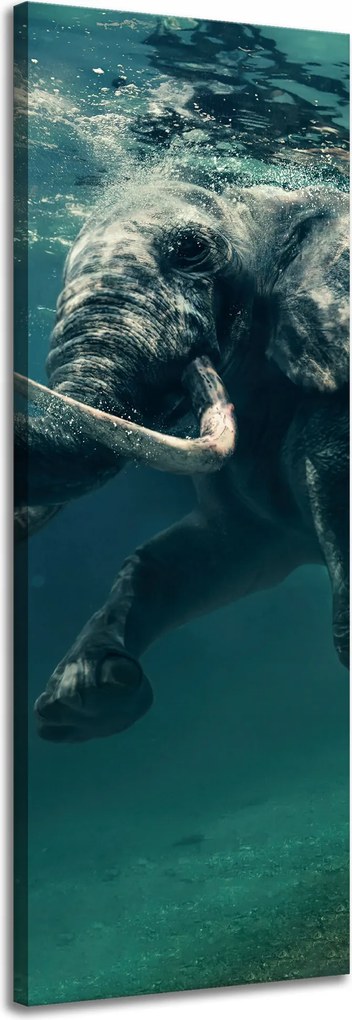 Vászonkép Lebegő elefánt a vízben Művészet 40x120 cm