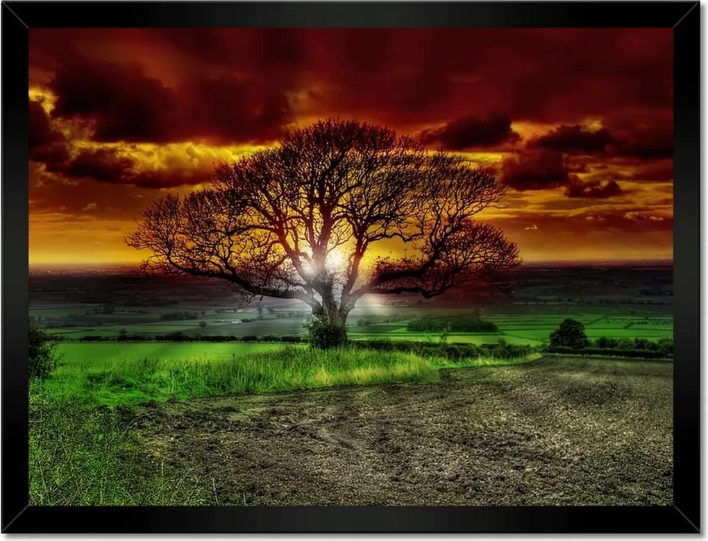 Poszterek keretben 40x30 Varázslatos fa tájkép