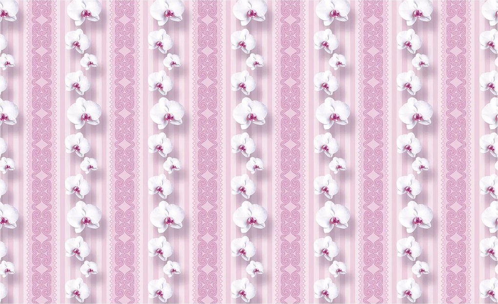Fotótapéta Rózsaszín orchideák Csíkok Finomság Elegancia 200x140 +ragasztó
