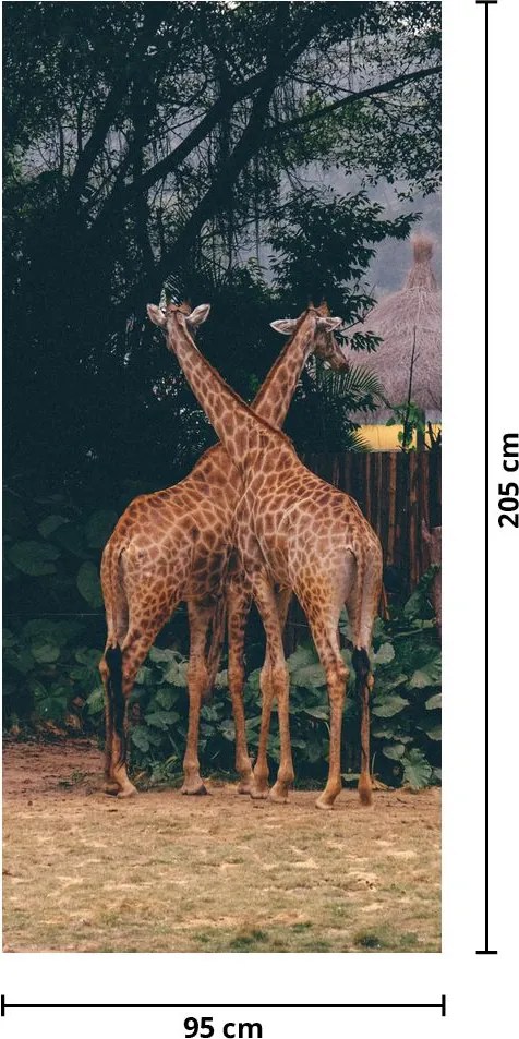 Fotótapéta ajtóra - Két zsiráf (95x205cm)
