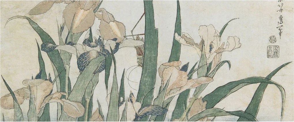 Flizelina Dekoratív Fotótapéta Hálószobába Finom íriszek 250x104 Ragasztó