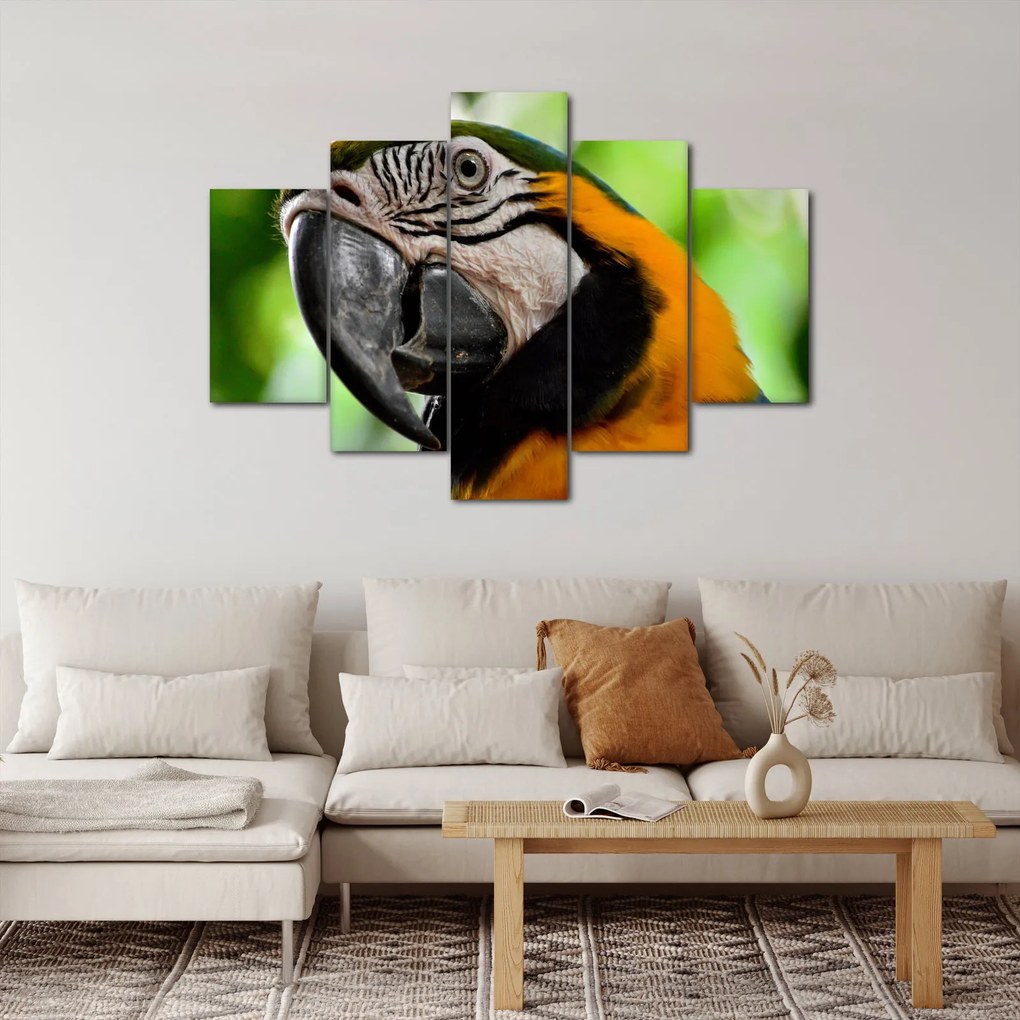 Papagáj képe (150x105 cm)