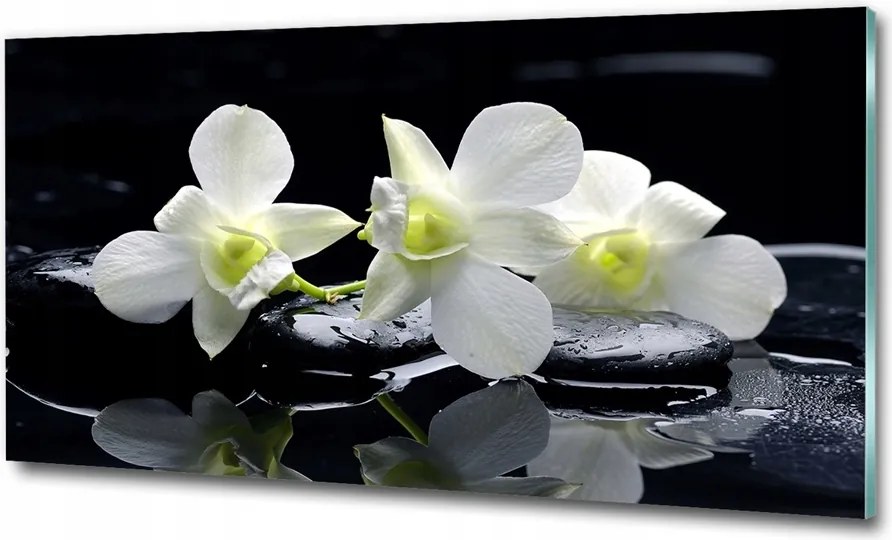 Fotótapéta üvegfalra Rózsaszín orchidea 125x50