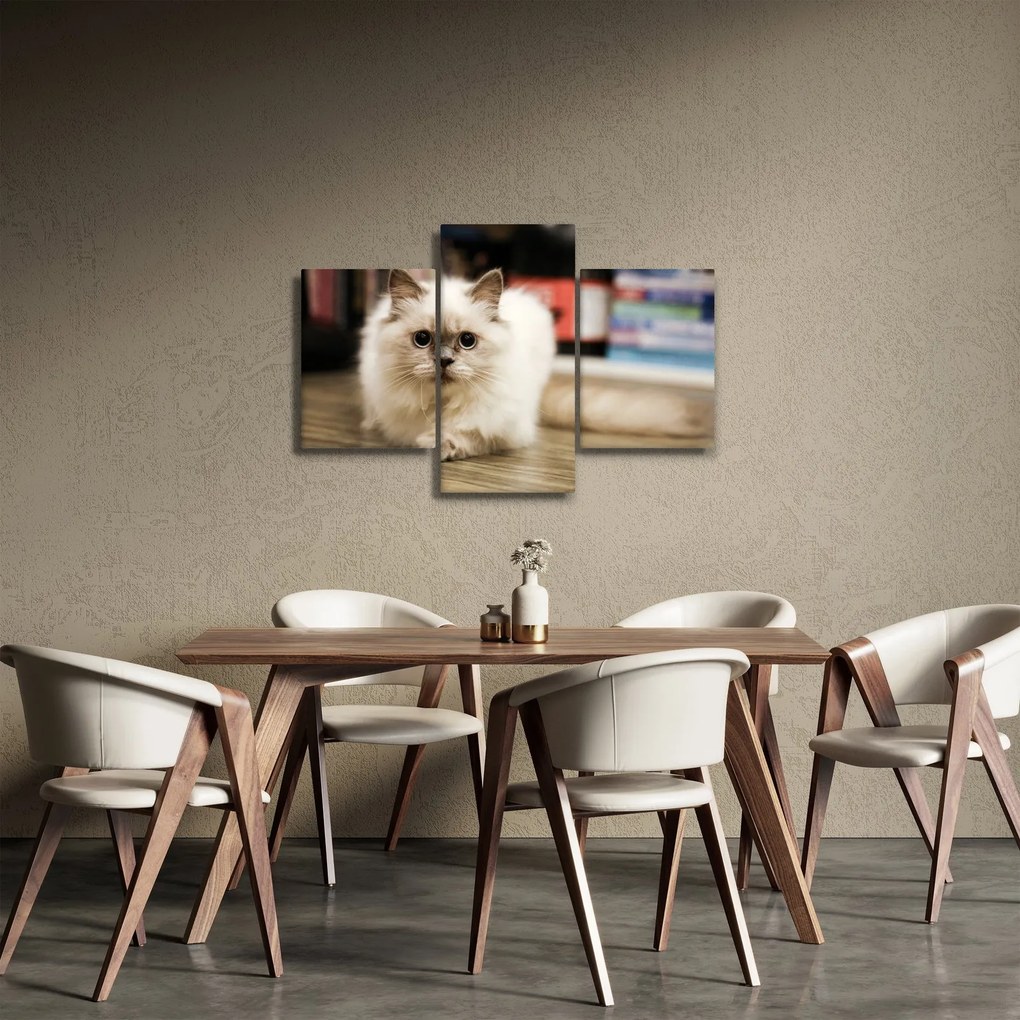 Fehér macska képe (90x60 cm)