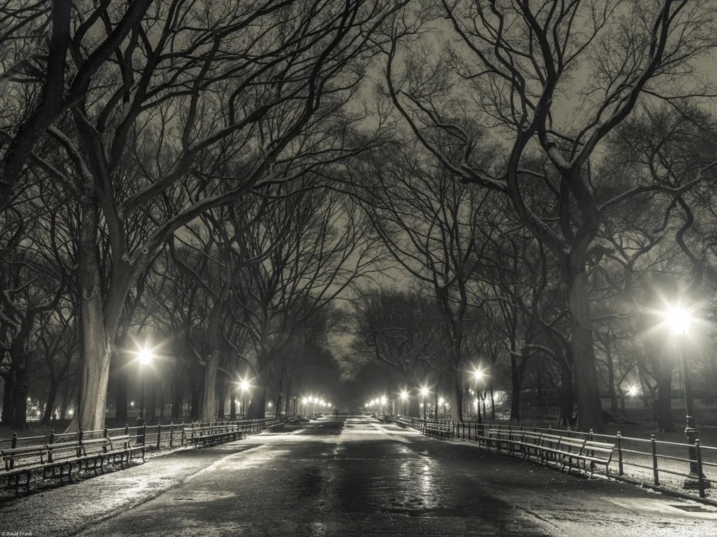Poszter 40x30cm Éjszakai kilátás a Central Parkon át vezető útra, Assaf Frank