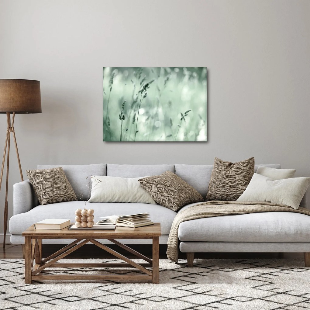 Kép - Zöld rét (70x50 cm)