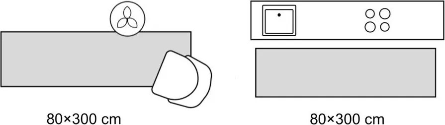 Fekete-fehér futószőnyeg 80x300 cm Esra Zebra – Flair Rugs