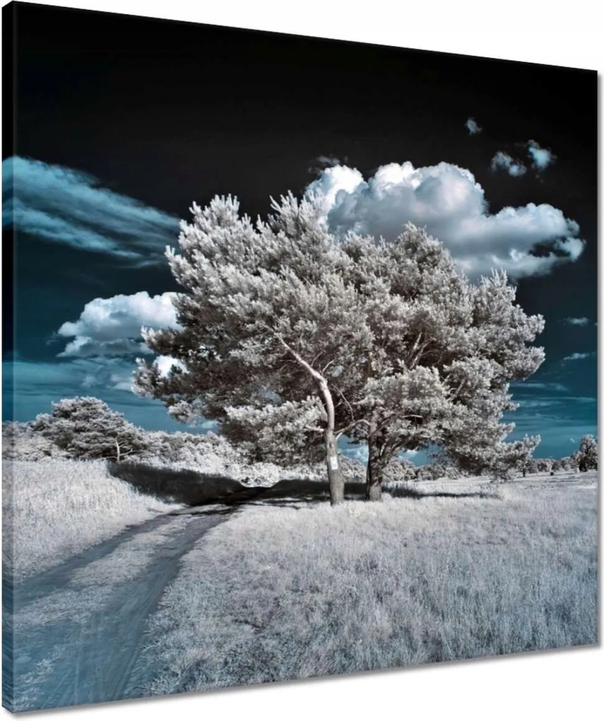 Vászonkép 50x50 Fa